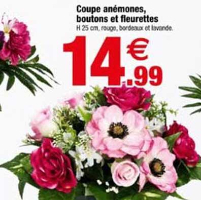 Coupe anémones, boutons et fleurettes