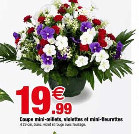 Coupe mini-oeillets, violettes et mini-fleurettes