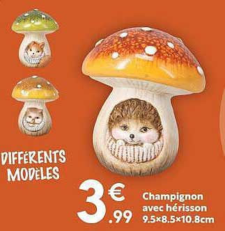 DIFFERENTS MODELES