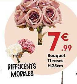 DIFFÉRENTS MODÈLES