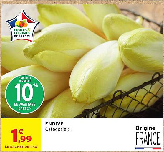 ENDIVE