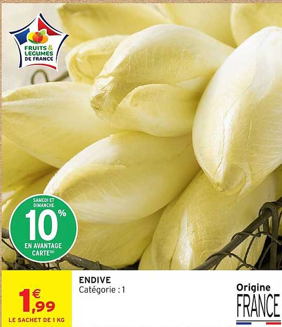 ENDIVE