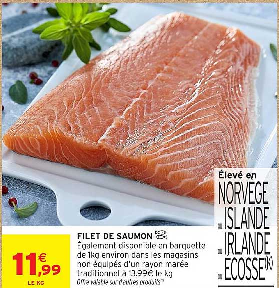 FILET DE SAUMON