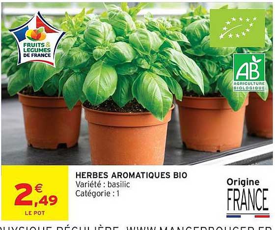 HERBES AROMATIQUES BIO