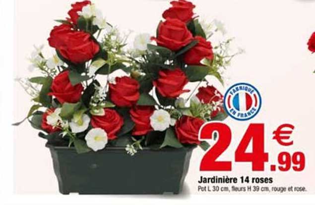 Jardinière 14 roses