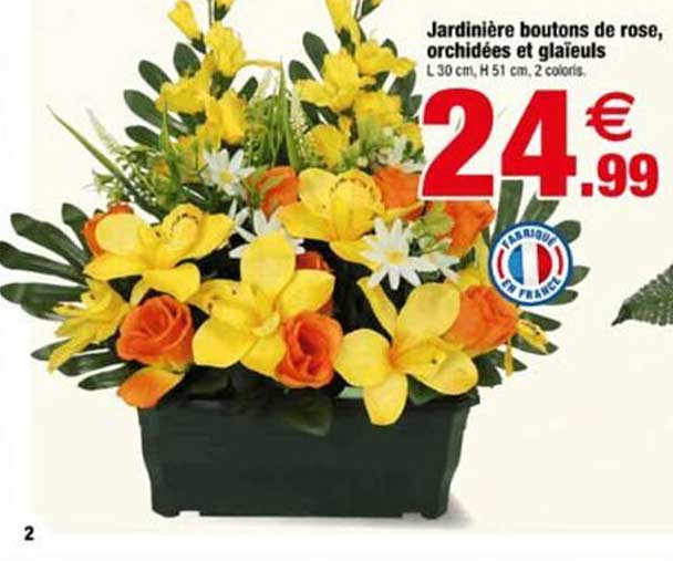 Jardinière boutons de rose, orchidées et glaïeuls