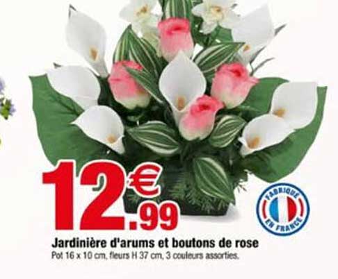 Jardinière d'arums et boutons de rose