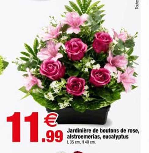 Jardinière de boutons de rose, alstroemerias, eucalyptus