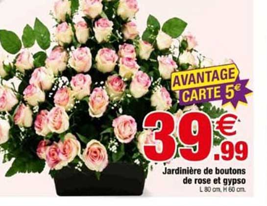Jardinière de boutons de rose et gypso