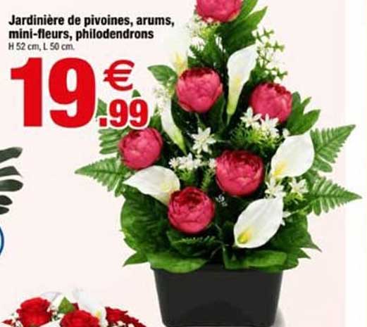 Jardinière de pivoines, arums, mini-fleurs, philodendrons