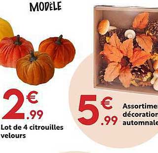 Lot de 4 citrouilles velours