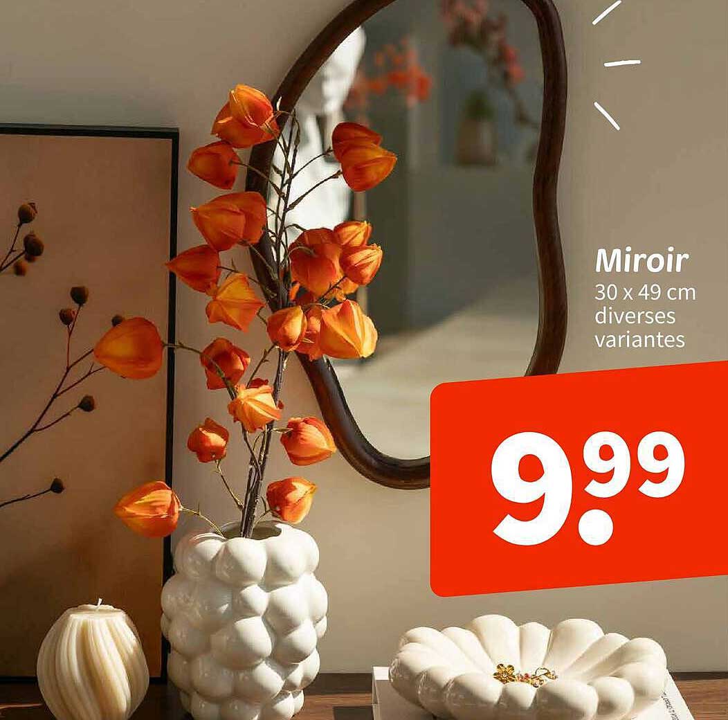 Miroir 30 x 49 cm diverses variantes