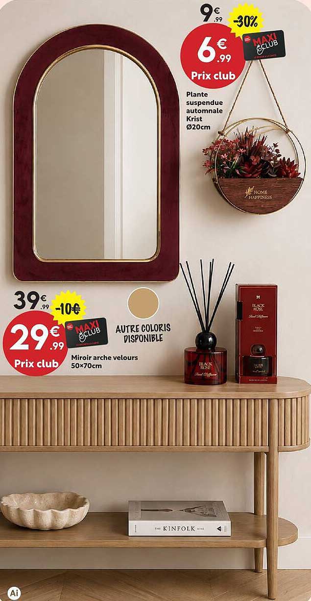 Miroir arche velours 50x70cm