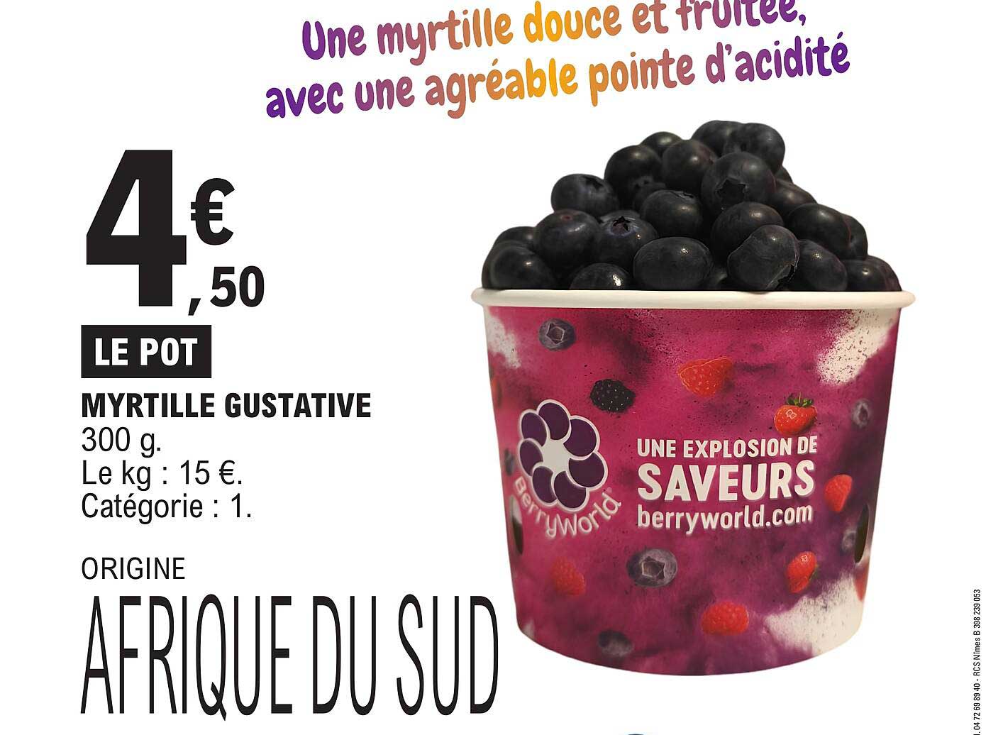 MYRTILLE GUSTATIVE