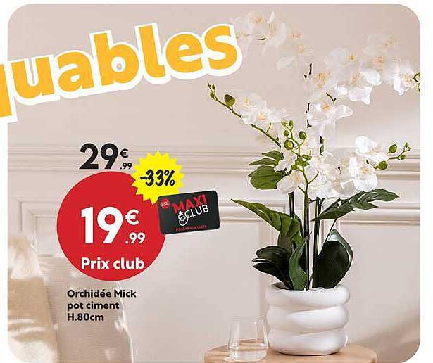 Orchidée Mick pot ciment H.80cm