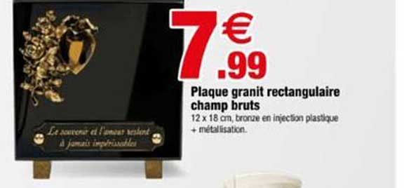 Plaque granit rectangulaire champ bruts