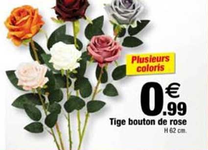 Plusieurs coloris