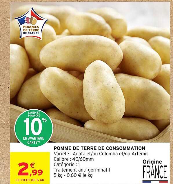POMME DE TERRE DE CONSOMMATION