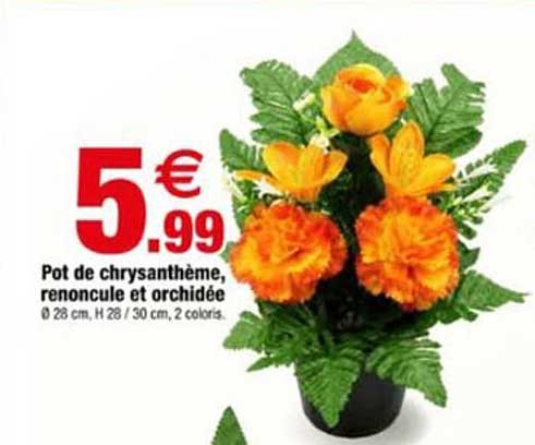 Pot de chrysanthème, renoncule et orchidée