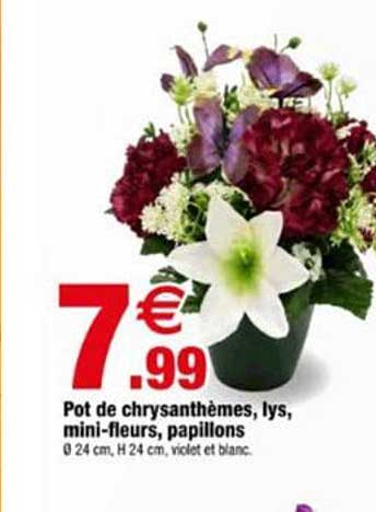 Pot de chrysanthèmes, lys, mini-fleurs, papillons