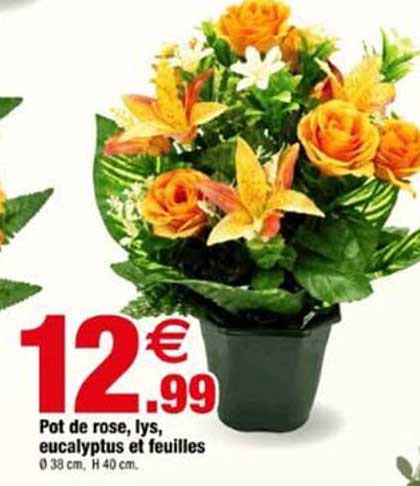 Pot de rose, lys, eucalyptus et feuilles