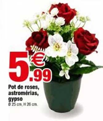 Pot de roses, astromérias, gyps0