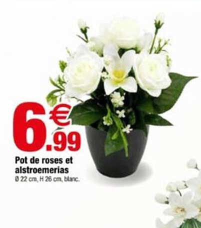 Pot de roses et alstroemerias