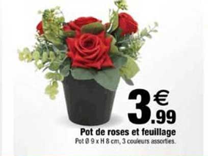 Pot de roses et feuillage