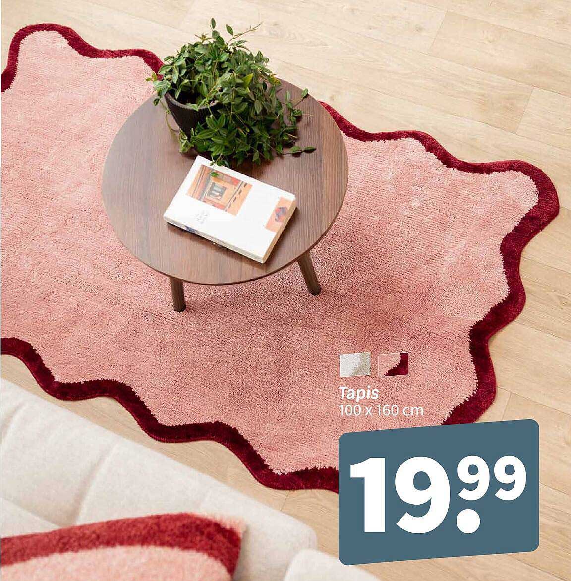 Tapis 100 x 160 cm