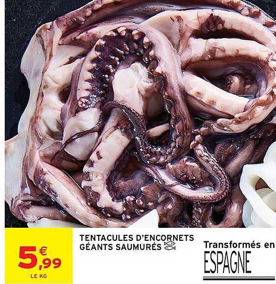 TENTACULES D’ENCORNETS GÉANTS SAUMURÉS