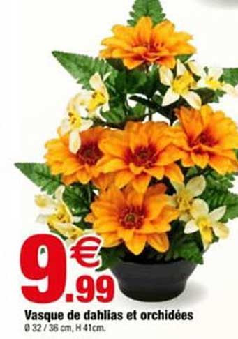 Vasque de dahlias et orchidées