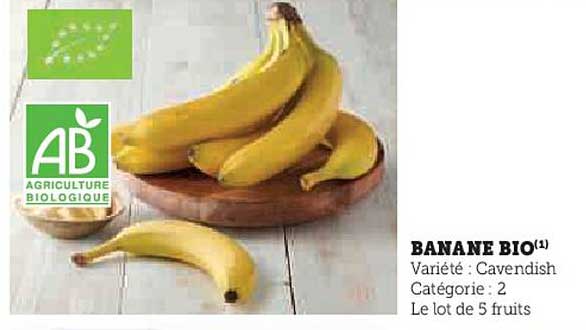 BANANE BIO