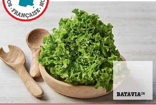 BATAVIA(3)