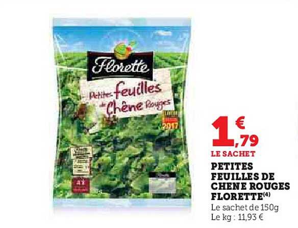 PETITES FEUILLES DE CHÊNE ROUGES FLORETTE