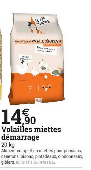 Volailles miettes démarrage