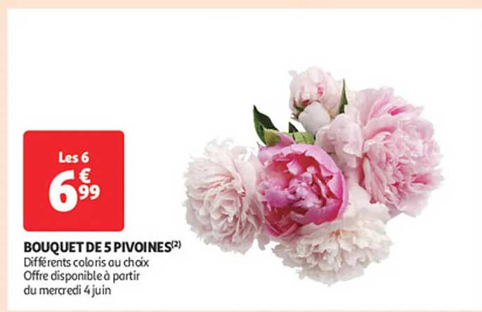 BOUQUET DE 5 PIVOINES