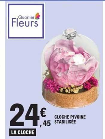CLOCHE PIVOINE STABILISÉE
