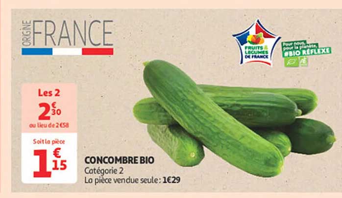 CONCOMBRE BIO