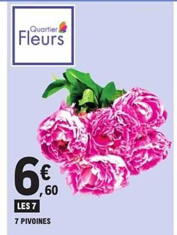 Quartier Fleurs - 7 Pivoines