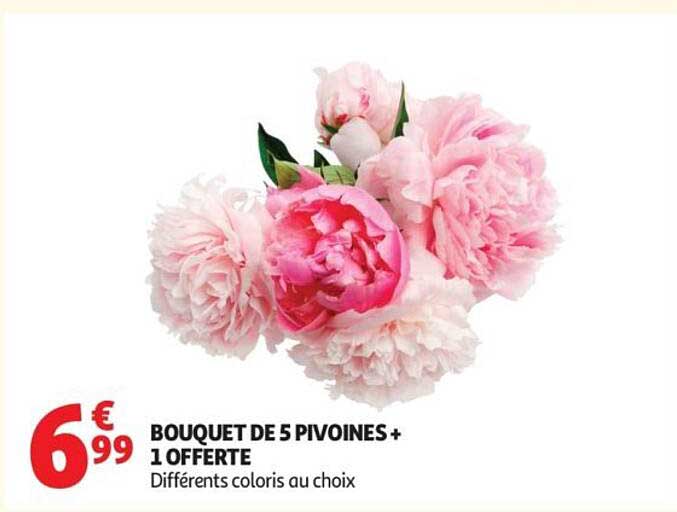 BOUQUET DE 5 PIVOINES + 1 OFFERTE