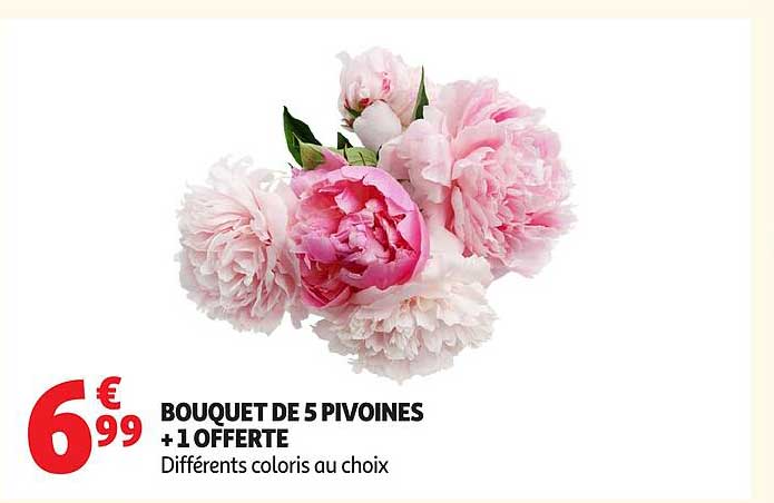 BOUQUET DE 5 PIVOINES + 1 OFFERTE Différents coloris au choix