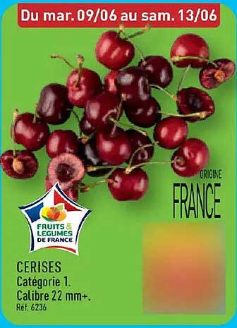 CERISES Catégorie 1. Calibre 22 mm+. Réf. 6726