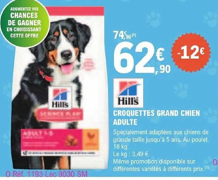 CROQUETTES GRAND CHIEN ADULTE