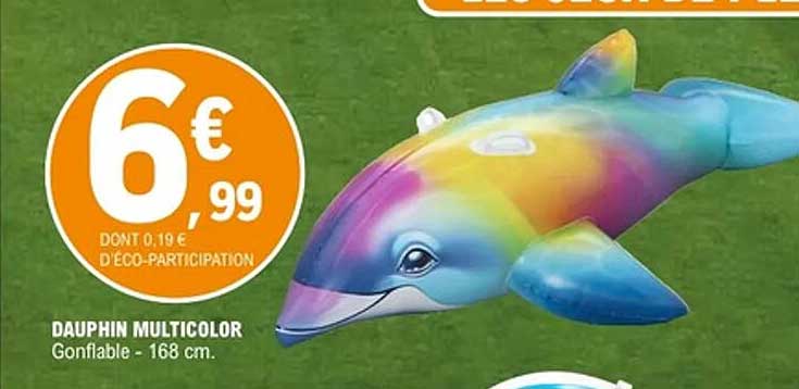 DAUPHIN MULTICOLOR