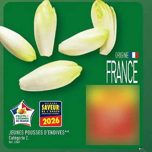 JEUNES POUSSES D'ENDIVES**