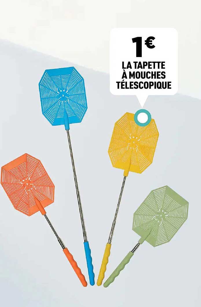LA TAPETTE À MOUCHES TÉLESCOPIQUE