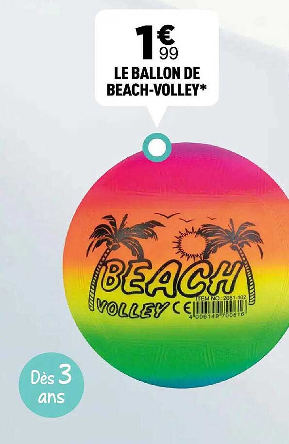 LE BALLON DE BEACH-VOLLEY*