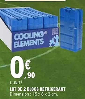 LOT DE 2 BLOCS RÉFRIGÉRANT