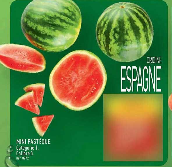 MINI PASTÈQUE
