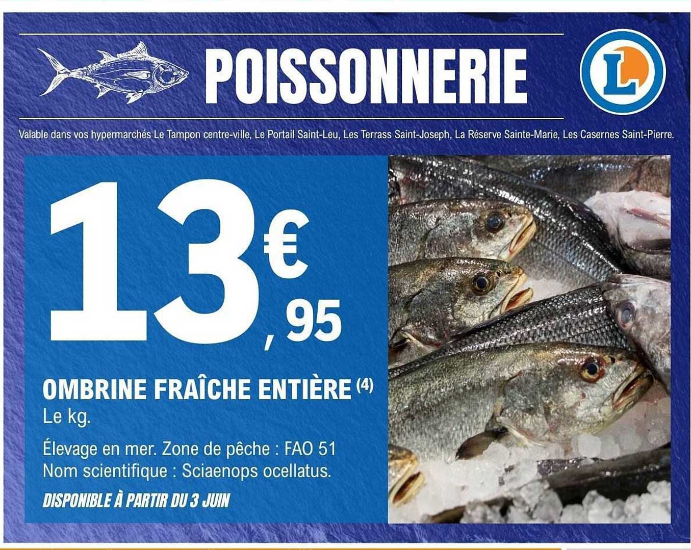 OMBRINE FRAÎCHE ENTIÈRE (4)